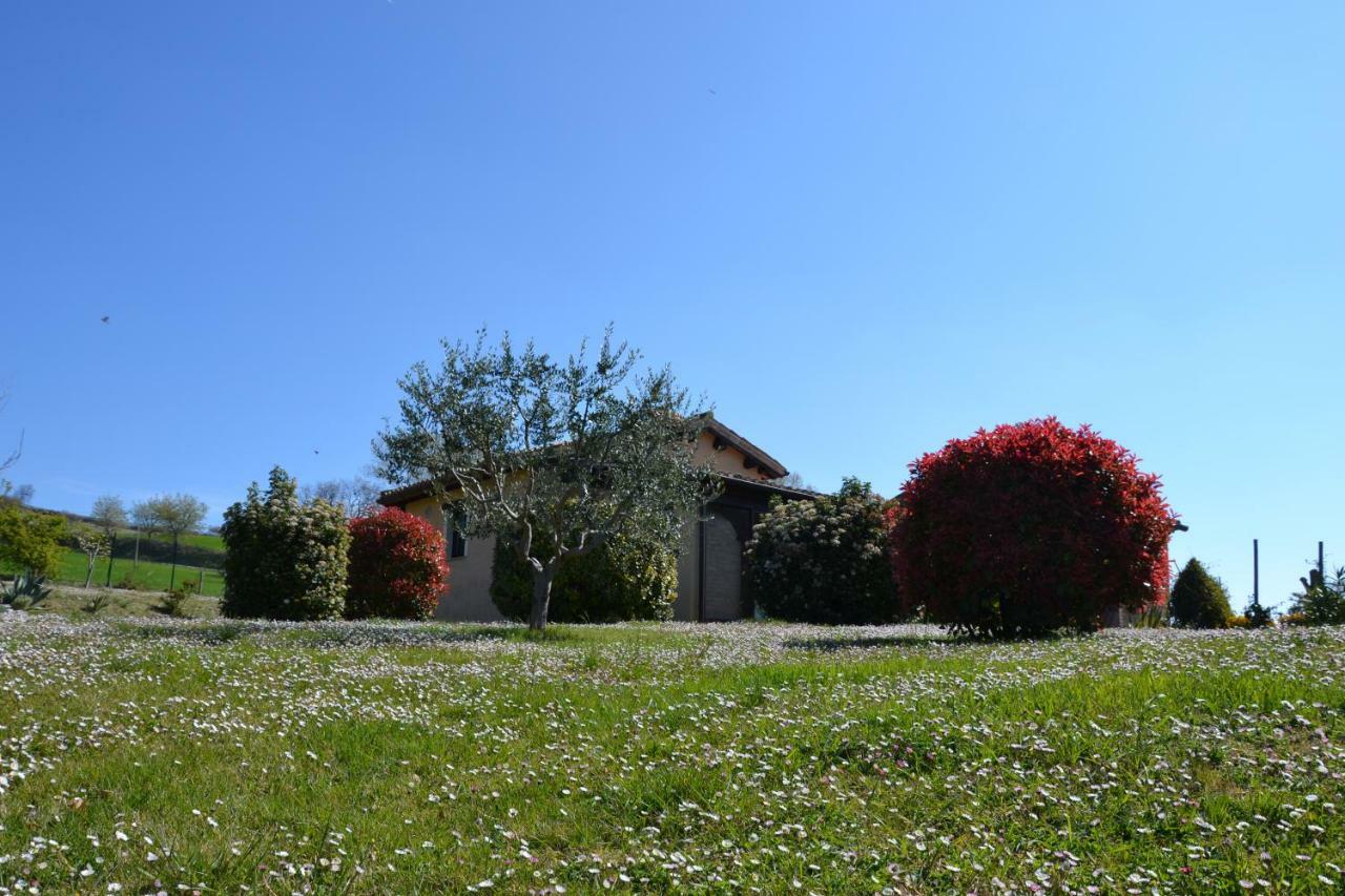 Agriturismo Villa Rosetta Сан-Северино-Марке Экстерьер фото